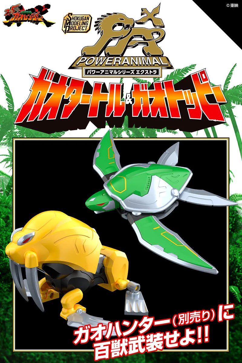 2020626_SMP_gaoturtle